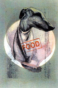 Food, 1995