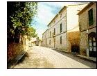 Patron saint festivities in Consell