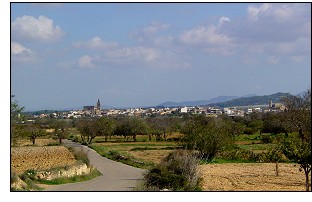 Festes de Sant Roc a Porreres