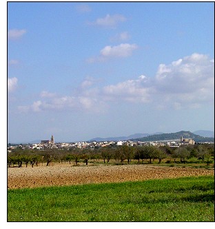 Festes de Sant Roc a Porreres