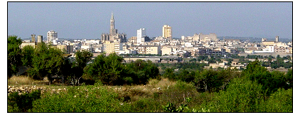 Fair in Manacor