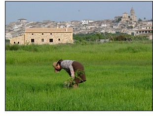 Women and ecology