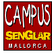 Campus per a joves msics de pop-rock