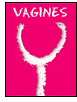 Mea Culpa presents "VAGINES" at the Auditorium